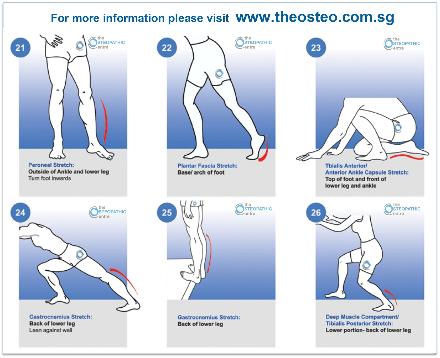 Self stretching of 2025 lower limb muscles